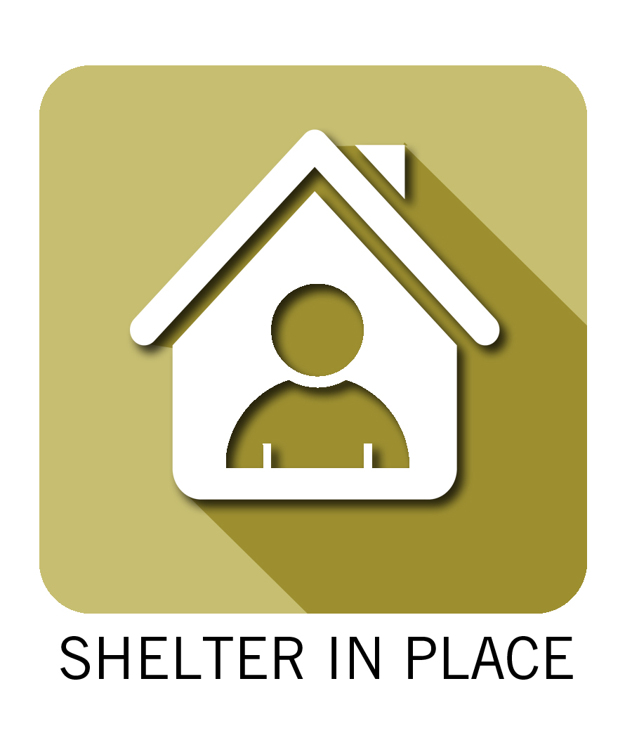 Shelter_In_Place_Green